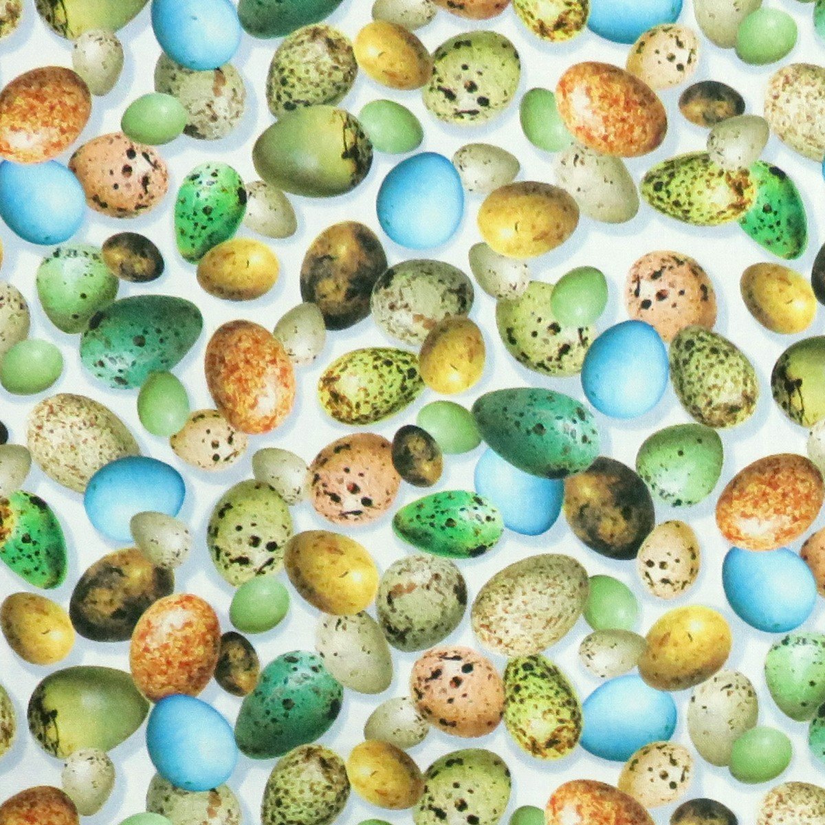 HUMINGBIRD GARDEN 28156 EGGS