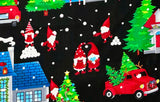 MERRY GNOMEVILLE - HOUSES