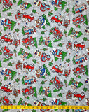 JOLLY LANE - RVS