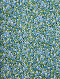 C7572  BLUE BONNETS