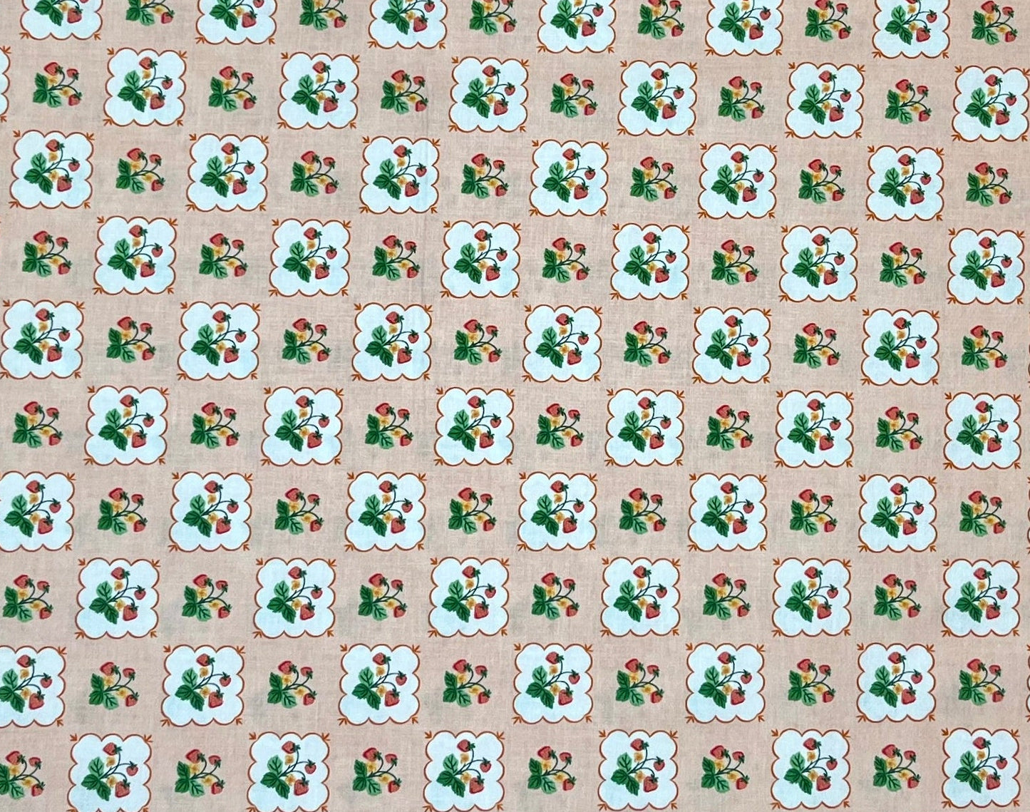 SUMMER STRAWBERRY PICNIC 30'S PRINT