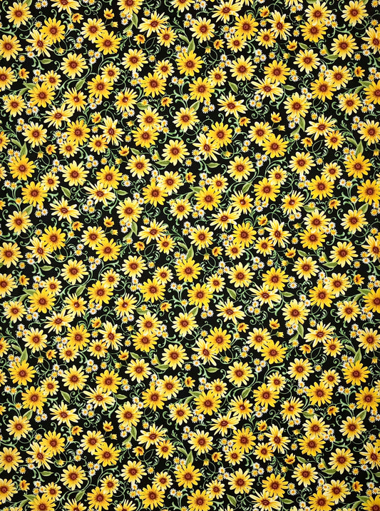 FARMER'S MARKET DAISIES