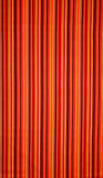 Y1222-4 RED AUTUMN SPLENDOR