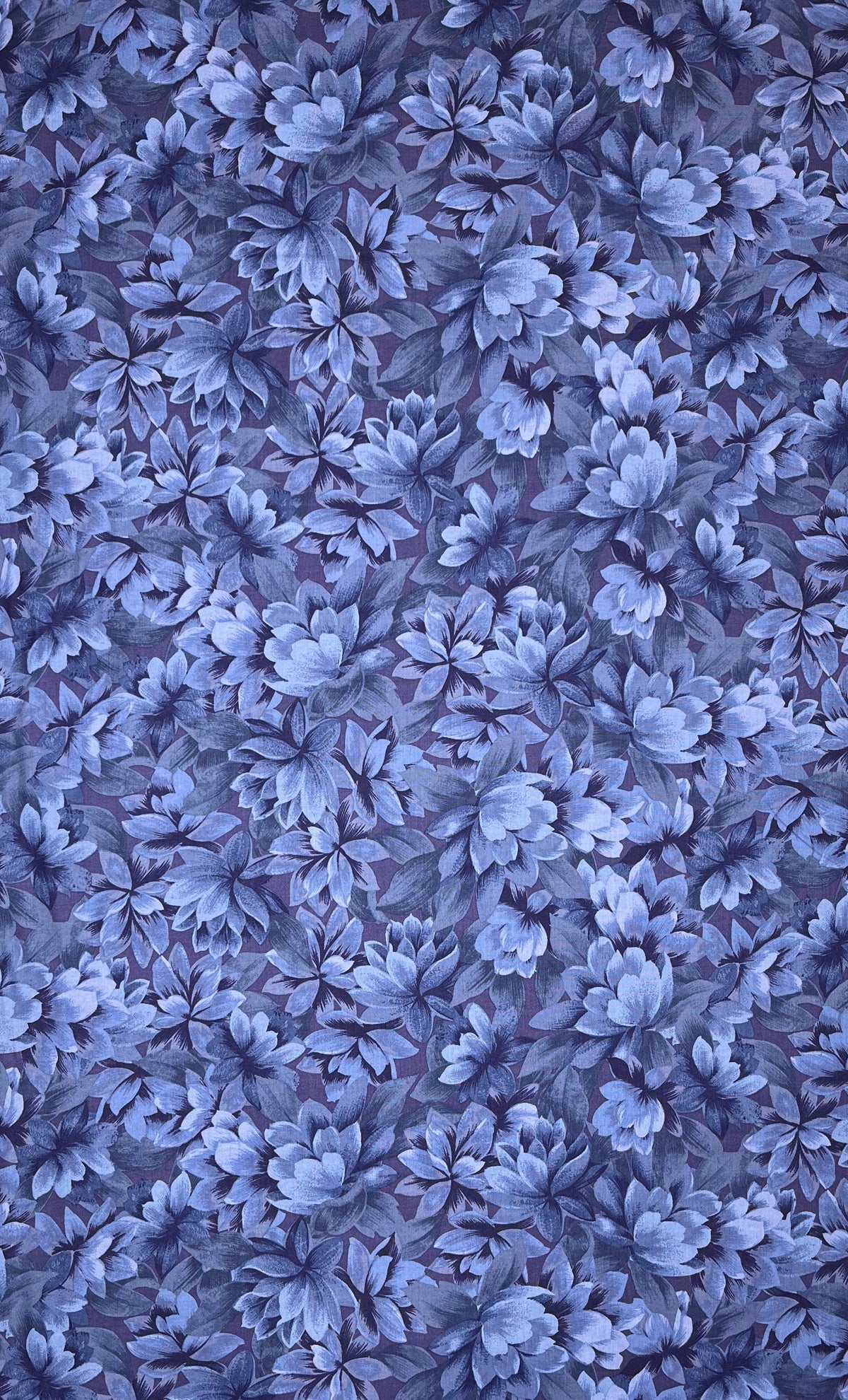 JB902 PERIWINKLE FLORALS