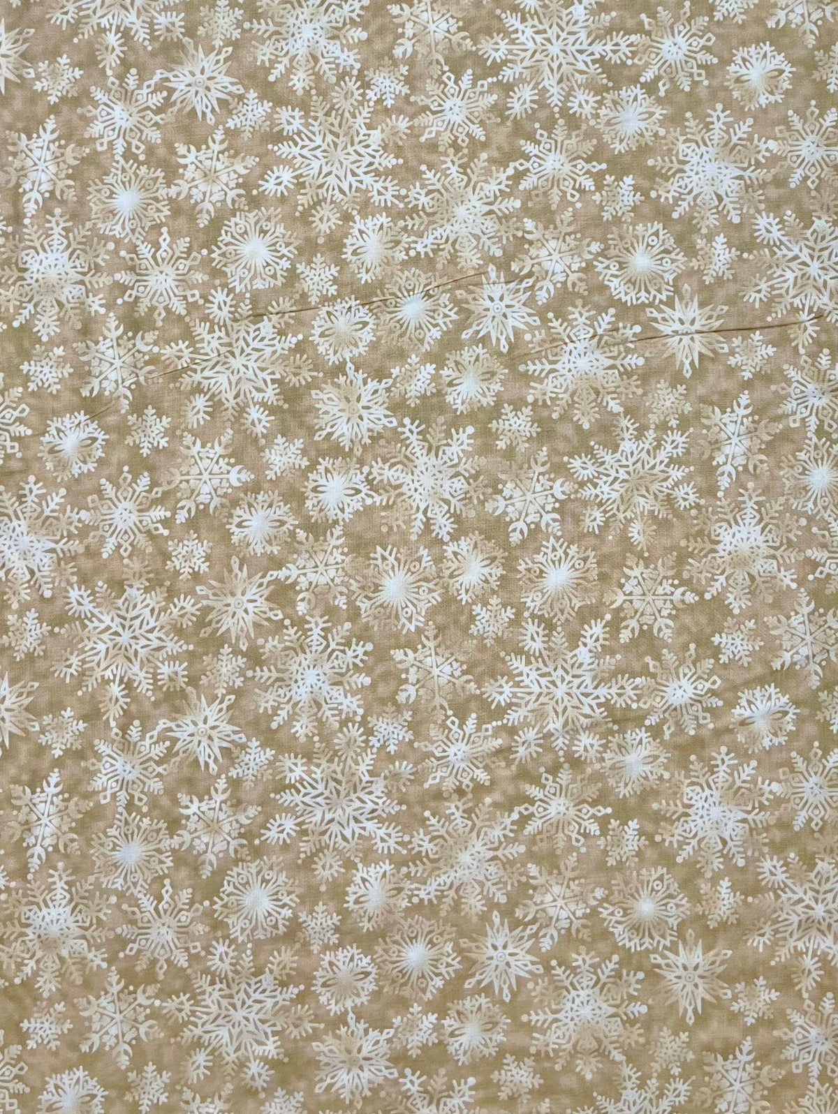 R255312-192 WINTERLY WONDERFUL BEIGE SNOWFLAKES