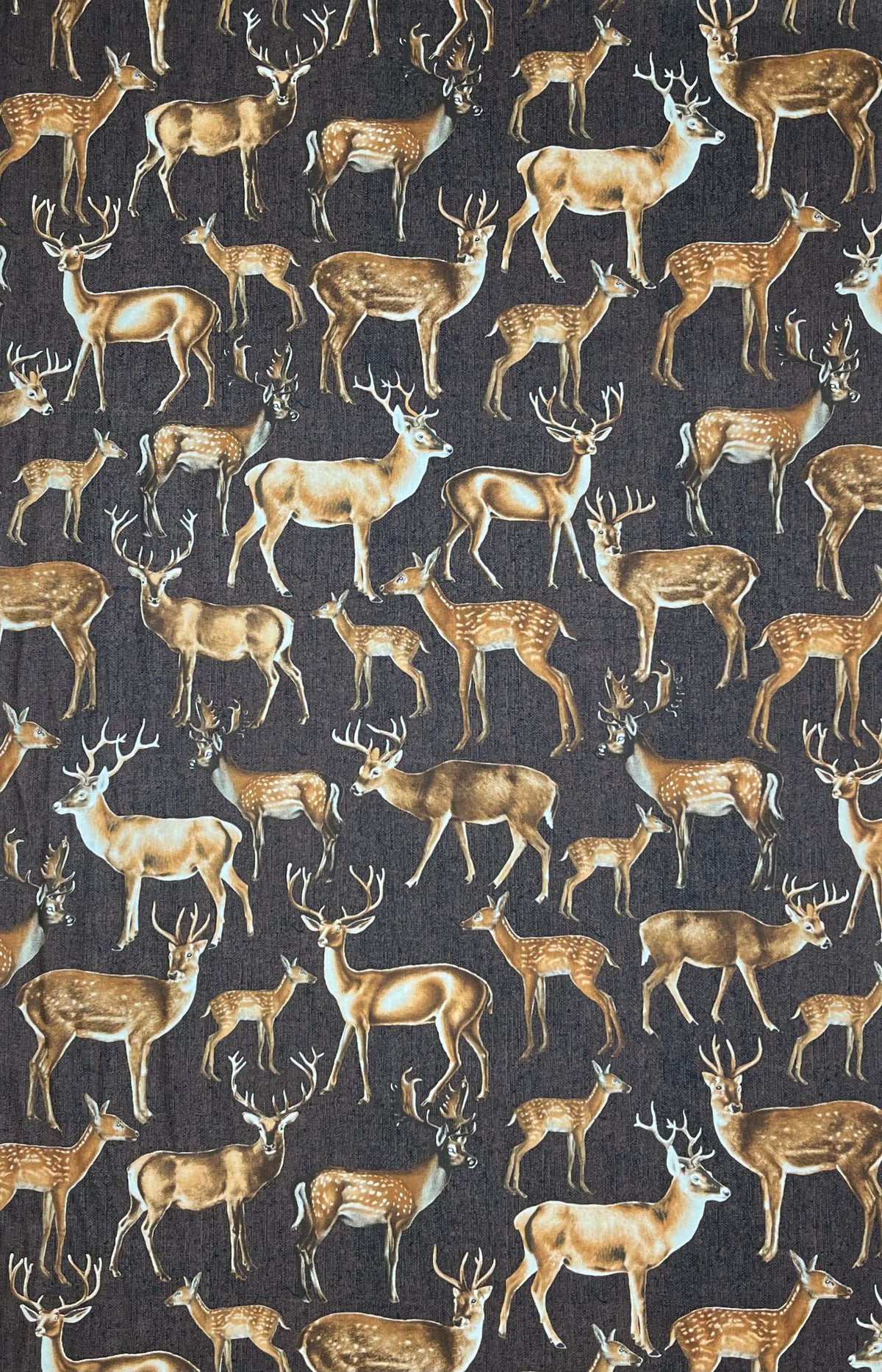 C5507 HERD OF DEER BROWN