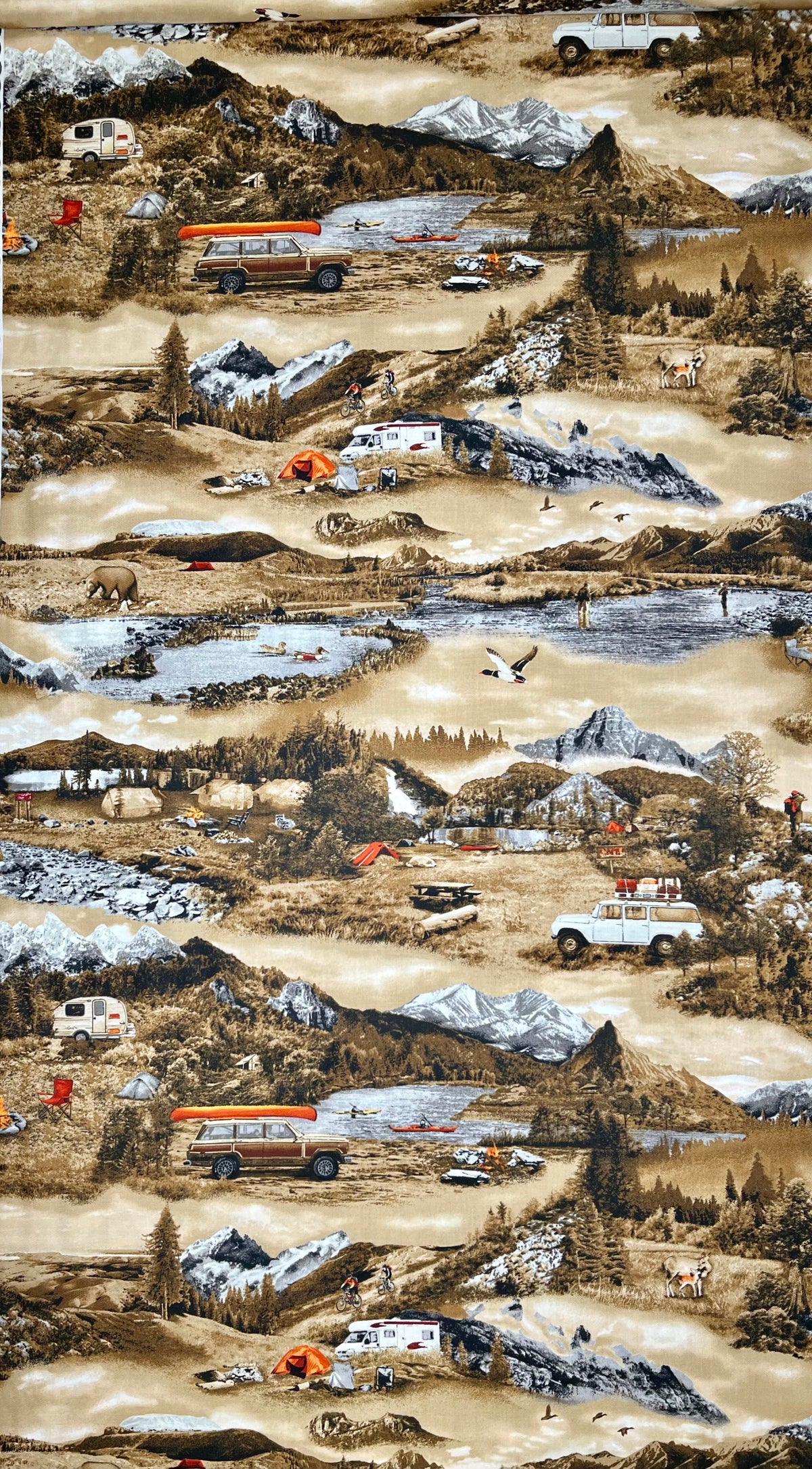 PARKS & RECREATION 3921-39 RV MOUNTAIN SCENE