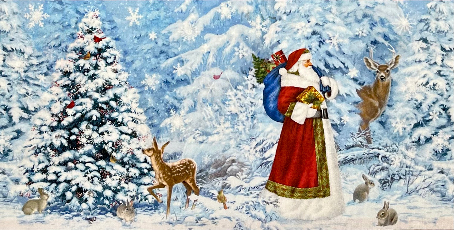 ST. NICHOLAS BORDER STRIPE 28213-48