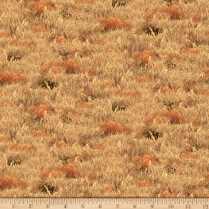 DEER VALLEY 1649-26894-AE Tan Grasses