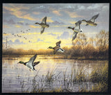 MINI PANEL - DUCKS
