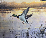 MINI PANEL - DUCKS