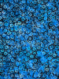 R07 1524-0118 BLUE