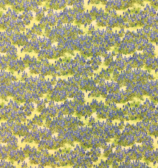 TEXAS IN BLOOM 20172-276 BLUEBONNETS