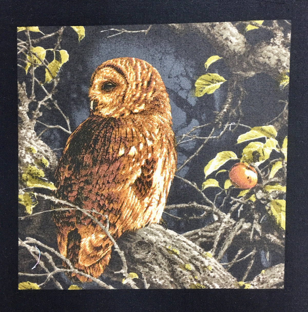MAJESTC WOODS OWL 8585-K