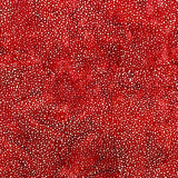 885-5 RED DOTS