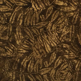 111930082 FERNS BROWN