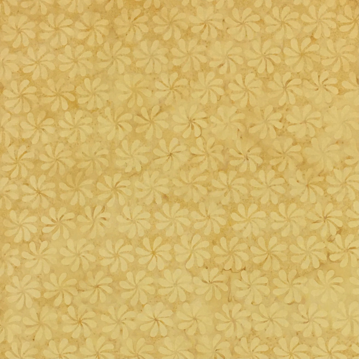 111918049 YELLOW DAISY