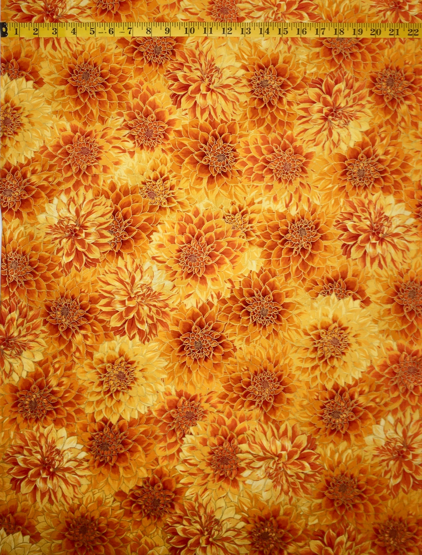 19854-209 SUNBURST