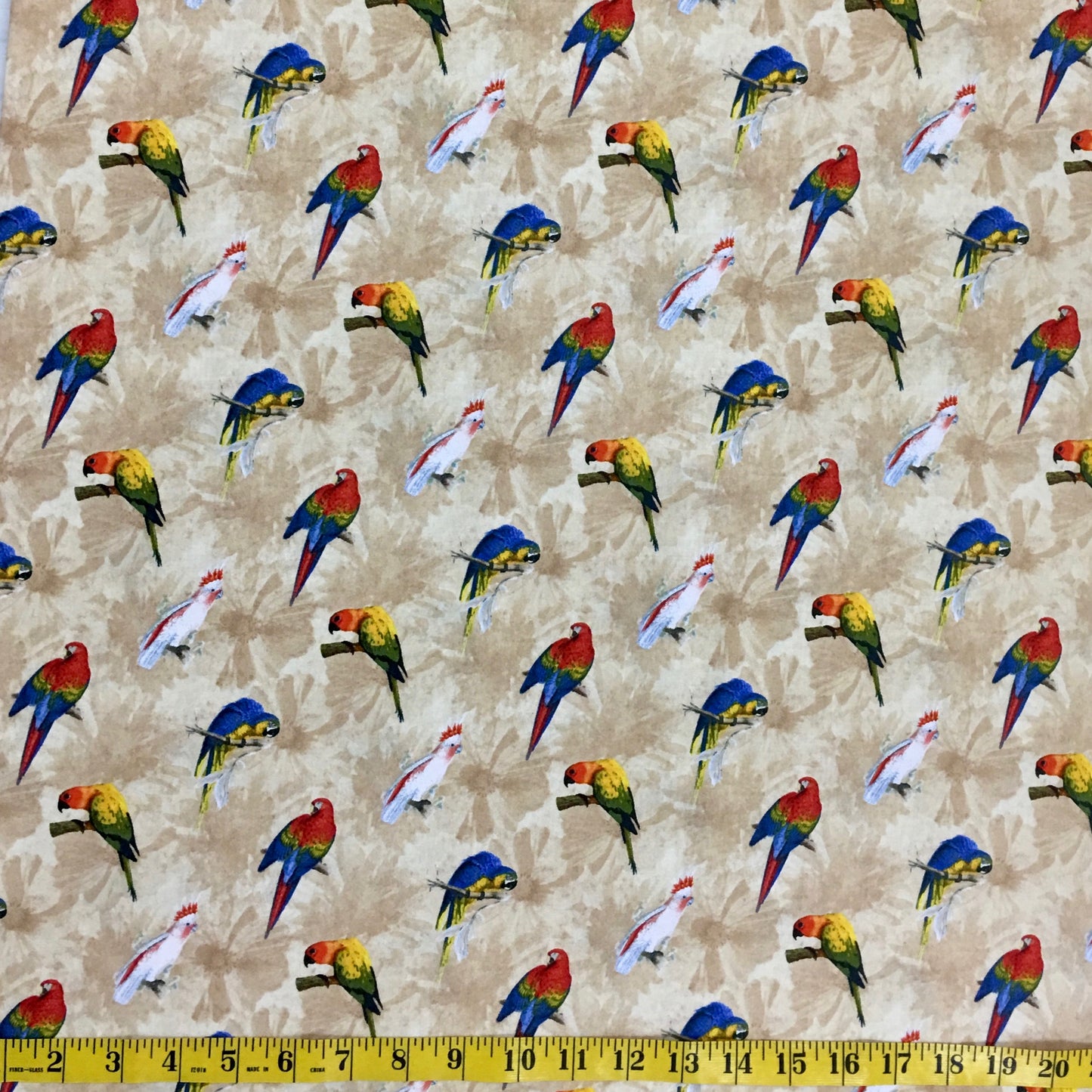 RAINFOREST 41937-1