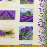 LAVENDER BLISS 5775-P