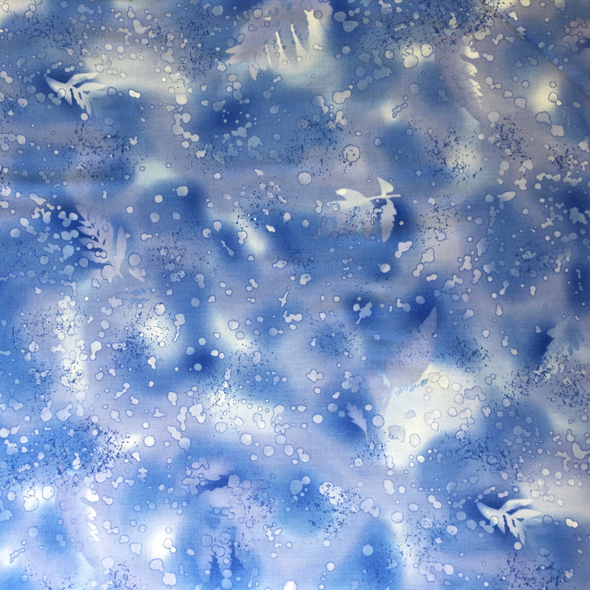 FOSSIL FERN-27 BLUE FROST