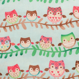 FRIENDLY FOREST 25350 BLU1 OWLS