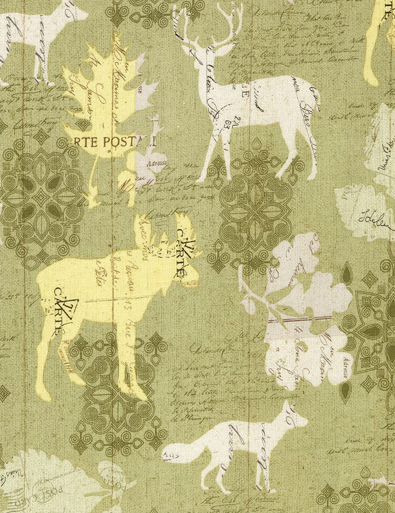 WILDERNESS C5257 SAGE