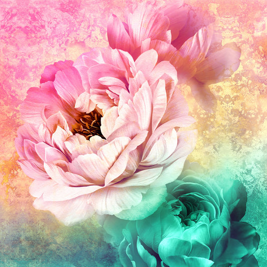 JUNE 202 NEWSLETTER