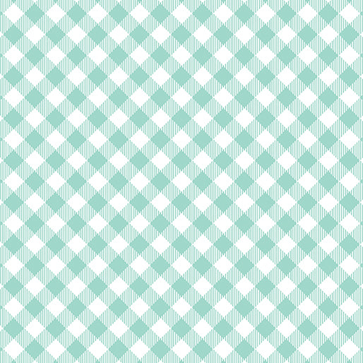 ENJOY THE RIDE AQUA GINGHAM