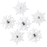 FANCY SNOWFLAKES