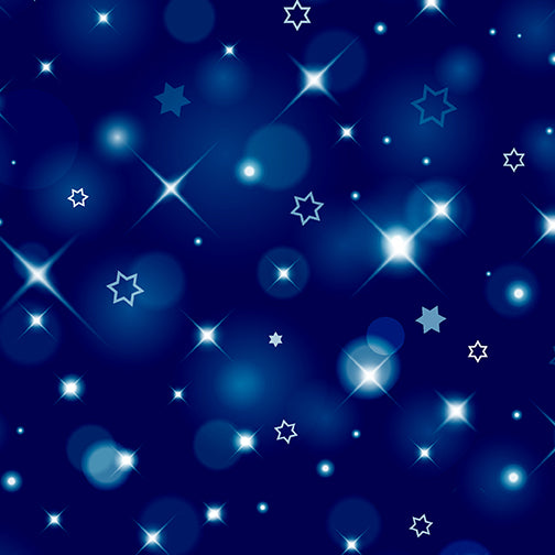 FESTIVAL OF LIGHTS - NAVY