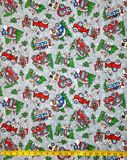 JOLLY LANE - RVS