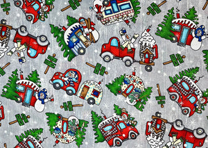 JOLLY LANE - RVS