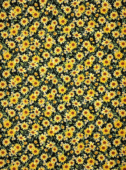 FARMER'S MARKET DAISIES