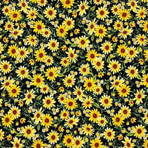 FARMER'S MARKET DAISIES