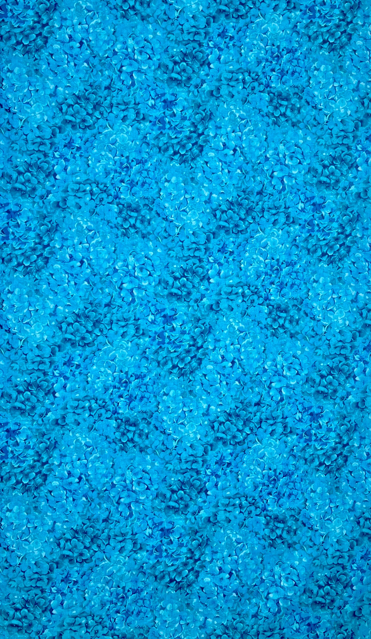 JB904-AM2 AQUA FLORAL FANTASY