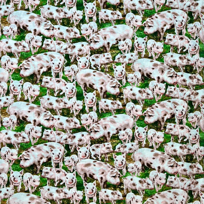 C8338-PIG PIGGY