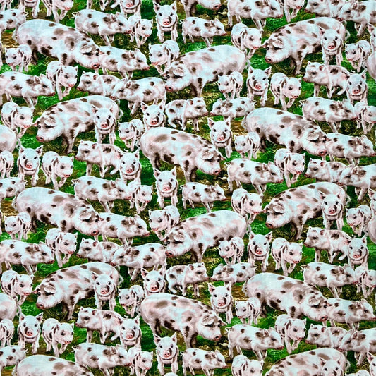 C8338-PIG PIGGY