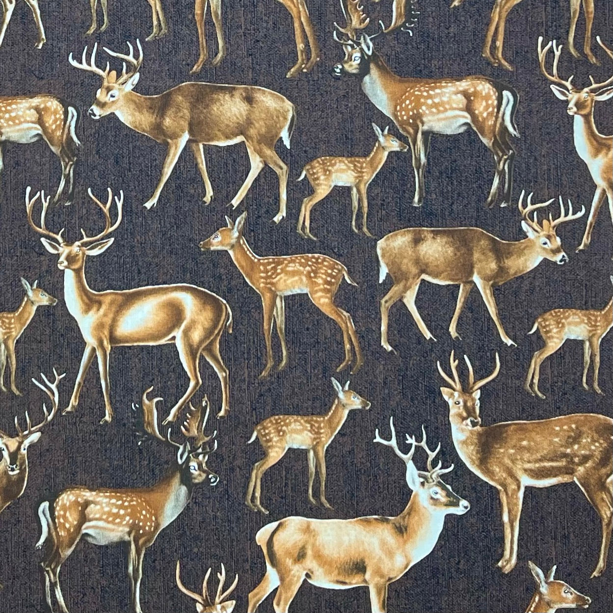 C5507 HERD OF DEER BROWN