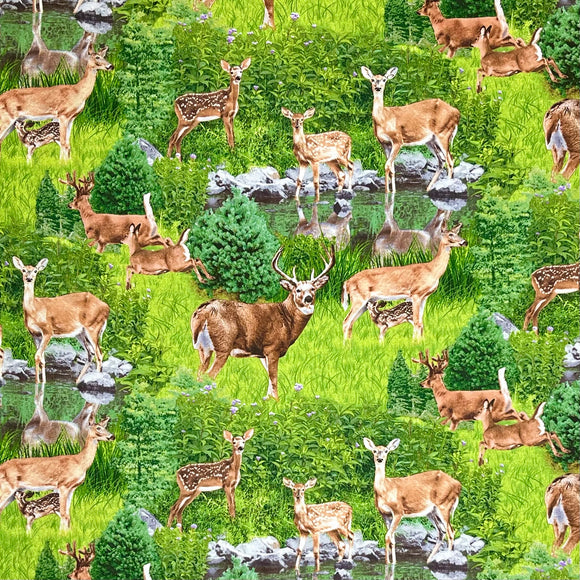 NORTH AMERICAN WILDLIFE DEER 213 GREEN
