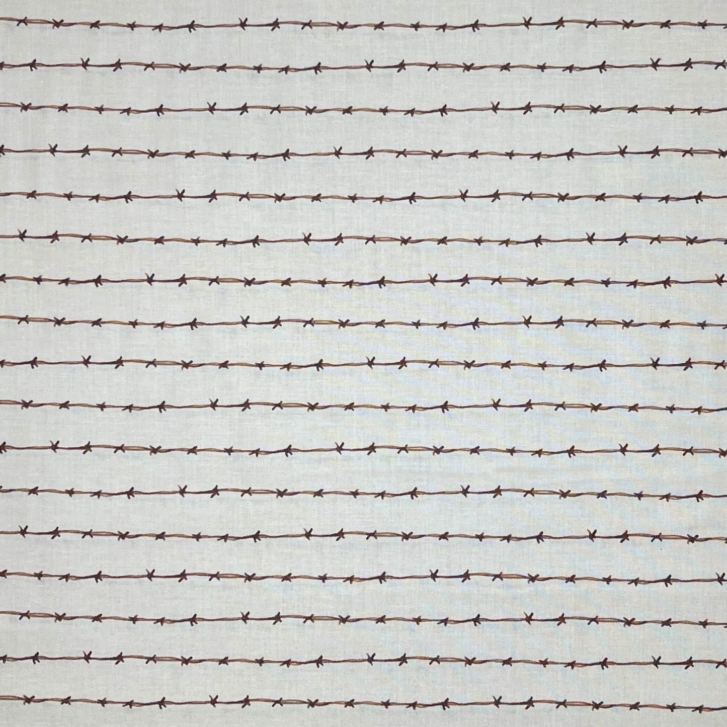 RIDE THE RANGE BARB WIRE C12743 CREAM