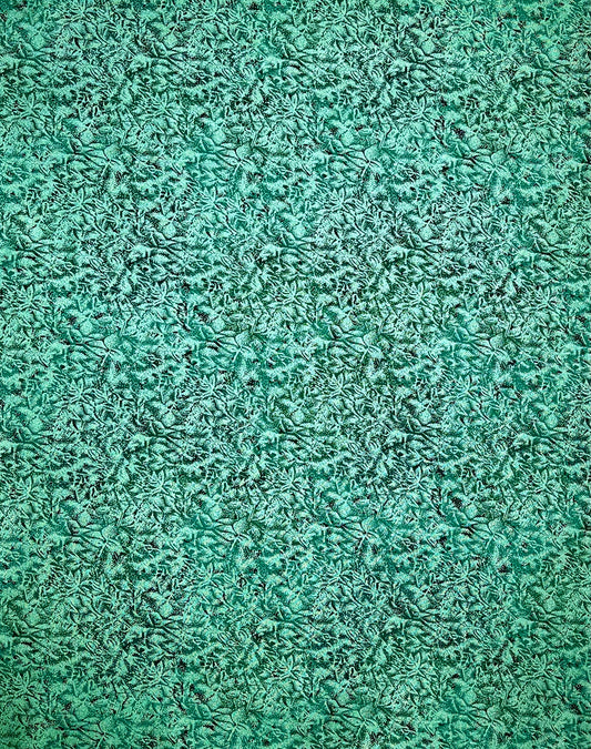 FAIRY FROST CM0376 PINE