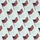 STARS & STRIPES FOREVER C15713 MINI FLAGS