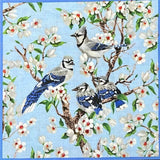 BIRDS OF A FEATHER 9004-99