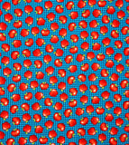 SCHOOL ZONE APPLES 4138-77