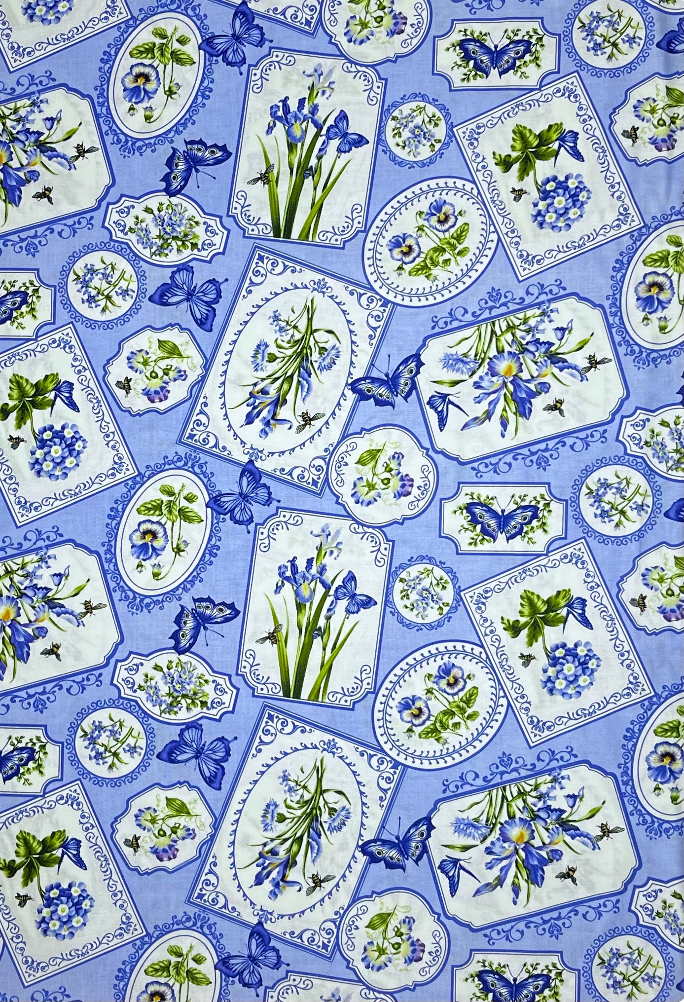 BOTANICAL BLUES 20457-42 FRAMES