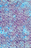 CIRCLES & BUBBLES MIXED BERRY 5181 BATIKS