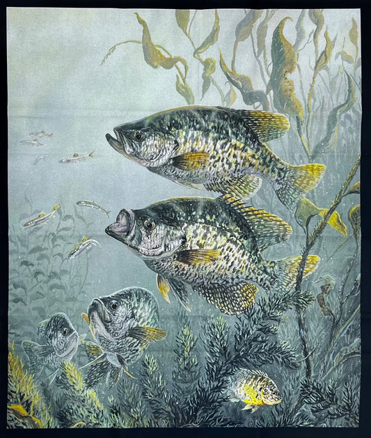 MINI PANEL - BLACK CRAPPIES