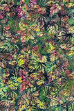IB108-C1 SUNSET GREEN FOREST