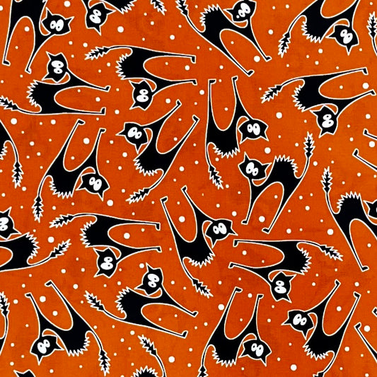 SCAREDY CAT ORANGE 12554-28